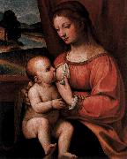 Nursing Madonna Bernadino Luini